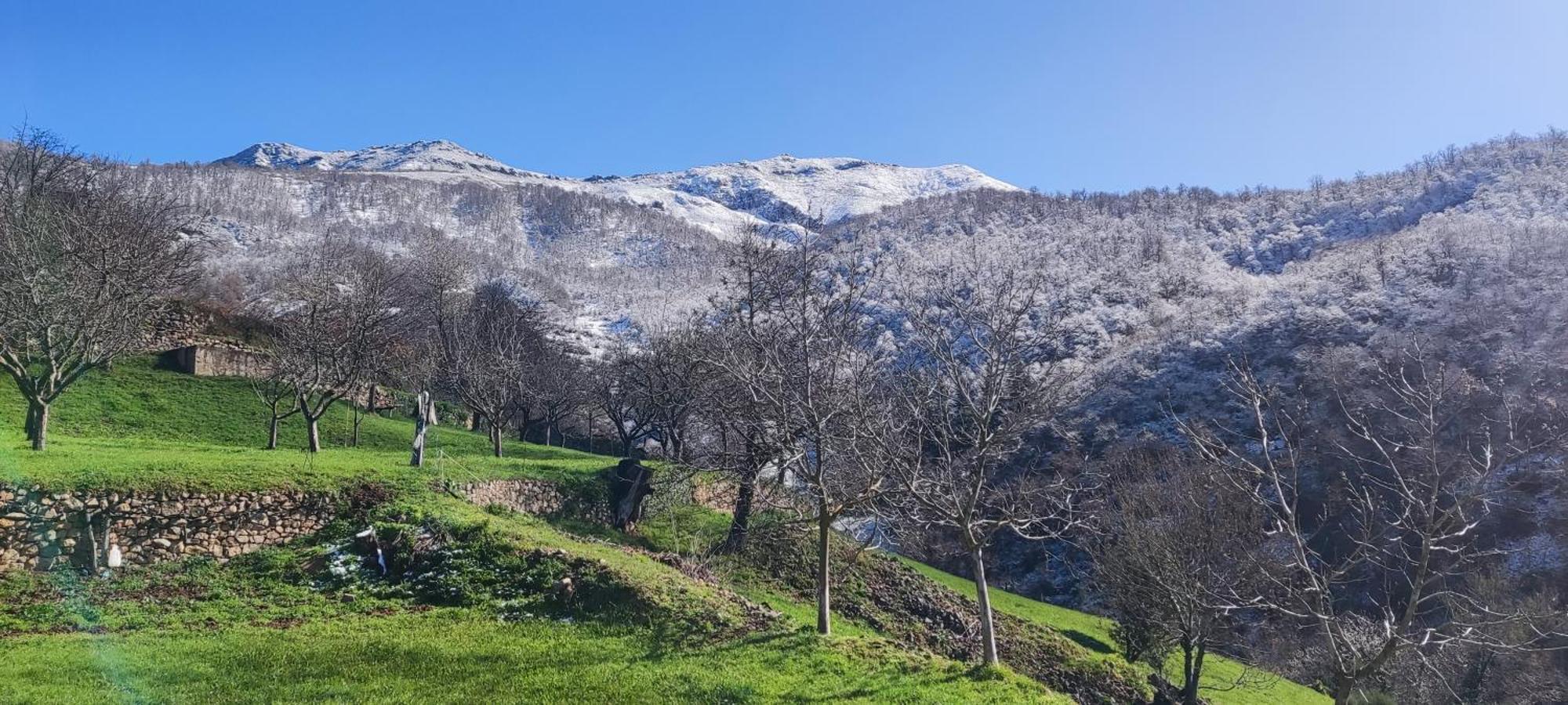Nuestra Casa De Luriezo Villa Cabezon de Liebana Bagian luar foto