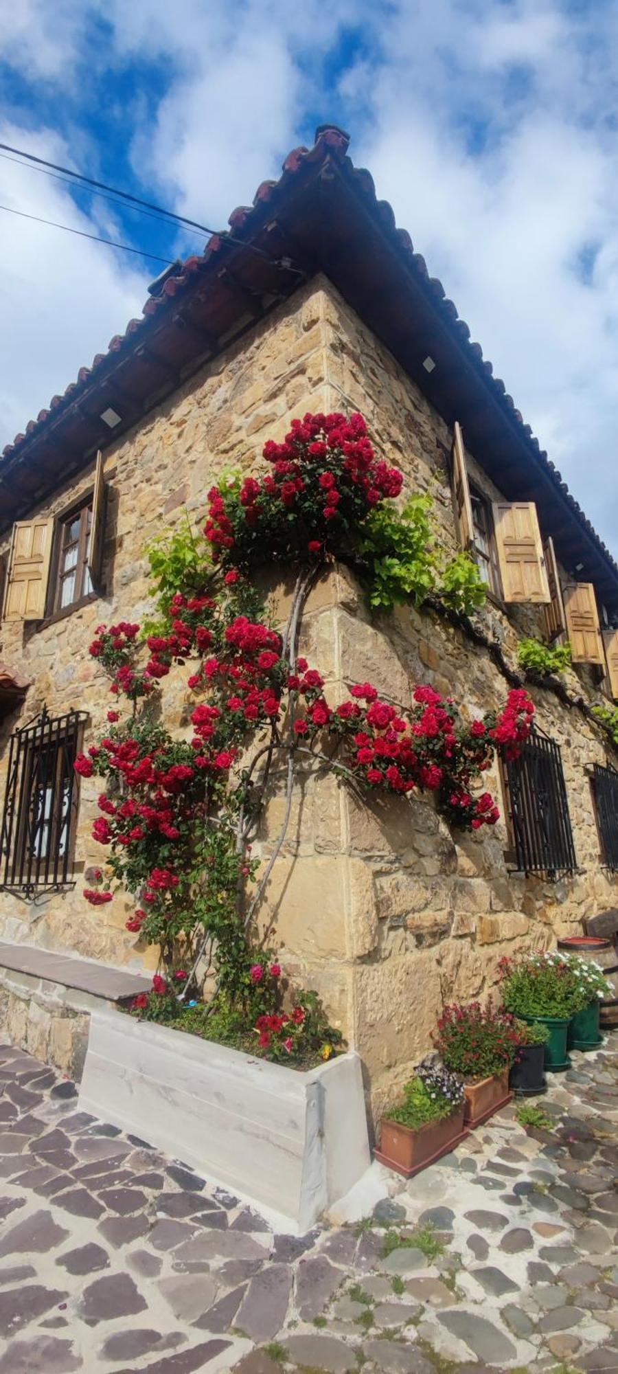 Nuestra Casa De Luriezo Villa Cabezon de Liebana Bagian luar foto